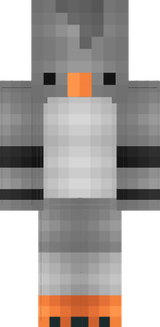 pigeon