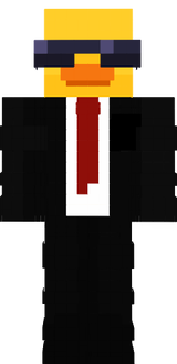 patron ördek