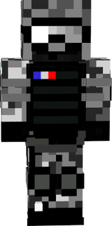 militaire francais 
