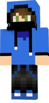 skin minecraft