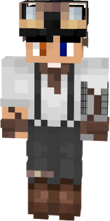 lawsinarm