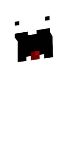 ds