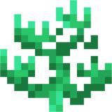 sugar_cane