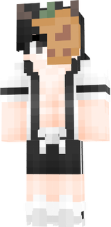 minecraft   skin]