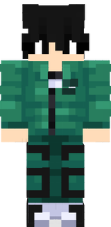 skin