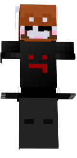 Lesserkun