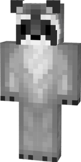 mapache