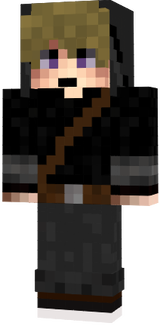 ris_main