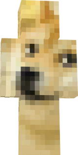 aaaa