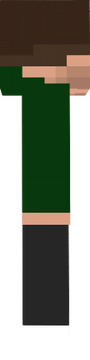 skin mc