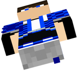 Ludan correto