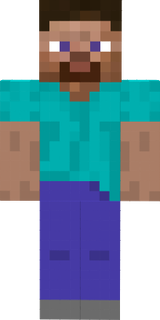 Bearded Steve
