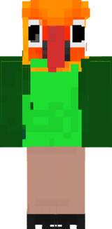 ROKA