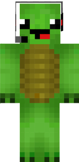 Turtle2