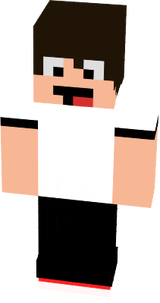 skin2.0