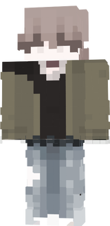 v1