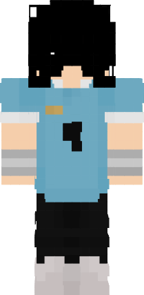 Preview of texture: sas