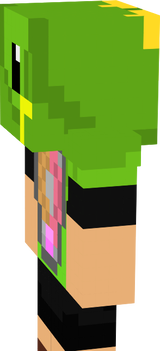 Ler minecraft