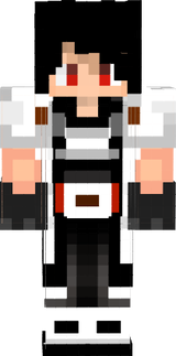 insan