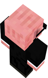Mr.Pig