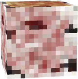 birch_log
