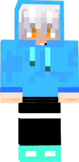 Skin officiel