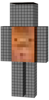 torso