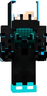 skin