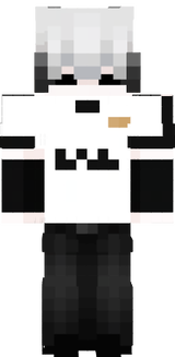 aaa