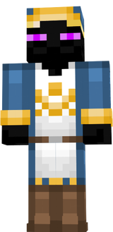 enderman volo