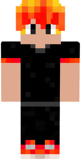 luizenne
