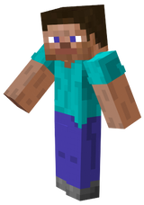 Steve Sin barba
