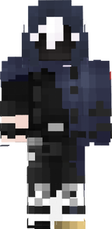 skin mc