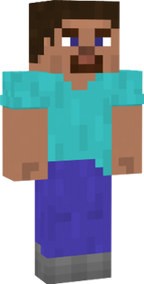 Steve Updated