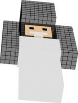 ski