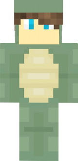 mcturtle
