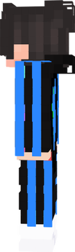 main skin