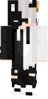 prime_wasim