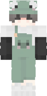 skinek2b