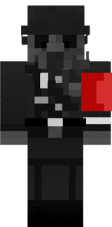 ss ns