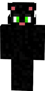 blackcatdemo