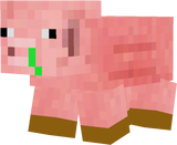 cochon malade