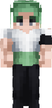Preview of texture: 索龍
