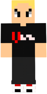 SauC VSN