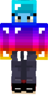 COLORFUL HOG