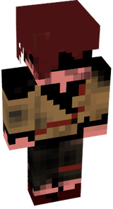 skinn