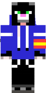 mi skin 1234