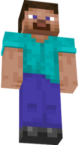 steve