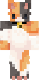 Calico Cat