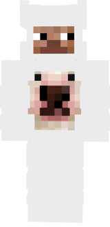 Skibid Chupudo te amo